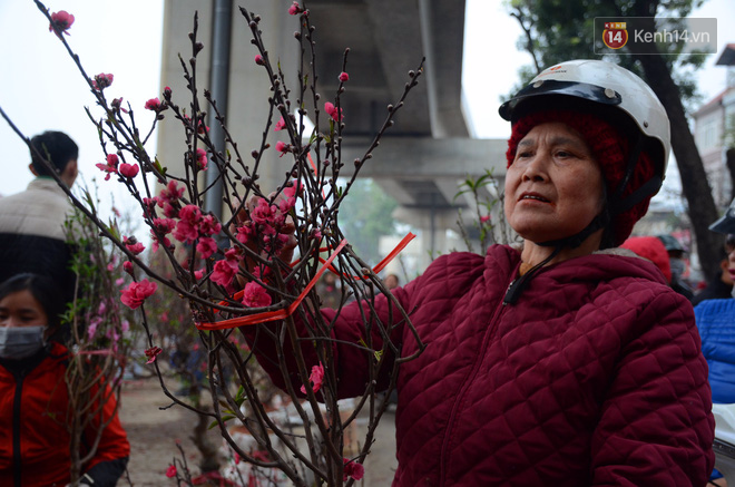 Người mua hoa lý giải việc phải chờ đến ngày 29, 30 Tết: Cũng vì nhiều người bán hét giá cao quá!